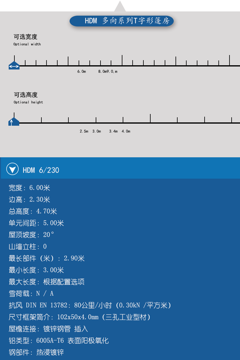 小型T字形篷房，小型篷房，華燁篷房，篷房定制
